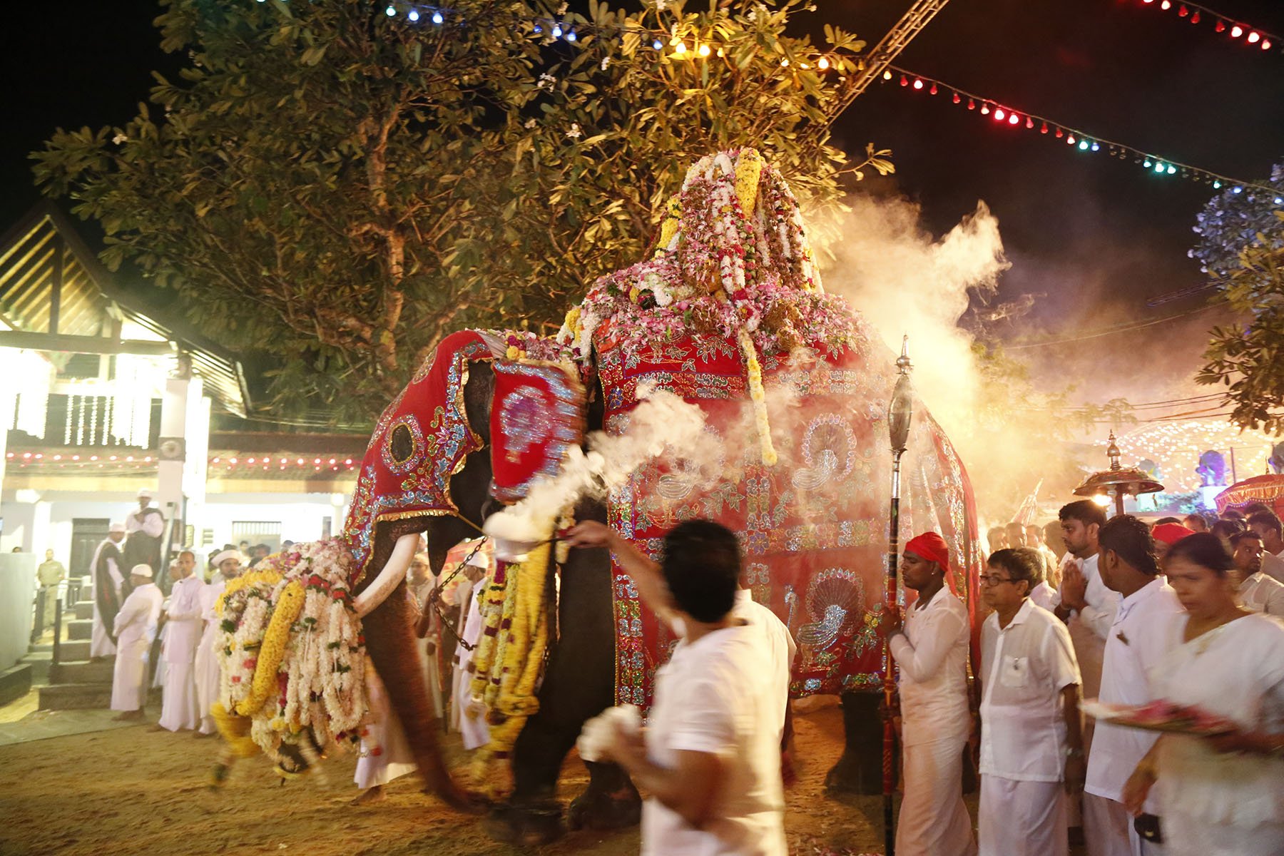 Annual Festival